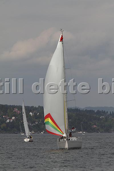 Bundefjorden2012 235.jpg